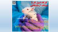 کارگاه آموزشی اصول کار با حیوانات آزمایشگاهی 
