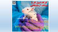 اطلاعیه مهم- تغییر زمان برگزاری کارگاه اصول کار با حیوانات آزمایشگاهی در مرکز تحقیقات فیزیولوژی