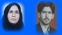 انتخاب پژوهشگران برتر از بین اعضا هیات علمی مرکز تحقیقات مراقبتهای پرستاری