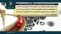 فراخوان تولید پلتفرم رسانش mRNA پروتئین GFP به سلول‌های بنیادی هماتوپوئتیک (HSCs) مقیم در مغز استخوان بر پایه لیپید نانوذرات (LNP) کانژوگه شده با آنتی‌بادی CD۱۱۷
