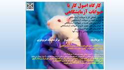 اطلاعیه مهم- تغییر زمان برگزاری کارگاه اصول کار با حیوانات آزمایشگاهی در مرکز تحقیقات فیزیولوژی
