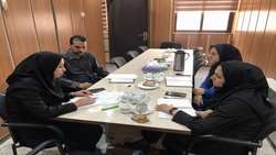 بررسی برنامه‌های ارتقای عملکرد پژوهشی دانشگاه در نشست شورای مدیران معاونت تحقیقات و فناوری