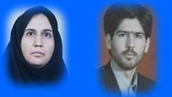 انتخاب پژوهشگران برتر از بین اعضا هیات علمی مرکز تحقیقات مراقبتهای پرستاری